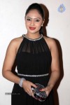 Nikesha Patel New Photos - 24 of 32