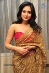 Nikesha Patel New Stills - 9 of 132