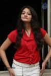 nikitha-narayan-new-images