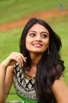 Nikitha Narayan Photos - 19 of 44