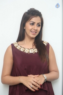 Nikki Galrani Latest Photos - 5 of 31