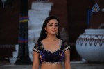 Nisha Agarwal New Hot Stills - 15 of 51