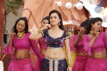 Nisha Agarwal New Hot Stills - 21 of 51