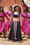 Nisha Agarwal New Hot Stills - 41 of 51