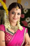 Nisha Agarwal New Photos - 135 of 151