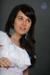 Nisha Kothari Hot Pics - 3 of 30