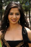 Nisha Shah New Stills - 16 of 55