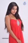 pameela-latest-stills