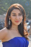 parul-gulati-stills