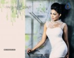 Parvathy Nair New Portfolio - 11 of 19