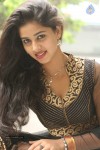 pavani-latest-gallery