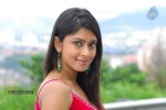 Payal Ghosh Hot Gallery - 12 of 60