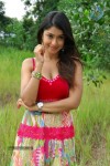 Payal Ghosh Hot Gallery - 18 of 60