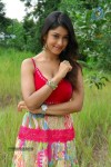 Payal Ghosh Hot Gallery - 50 of 60