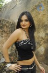 Payal Setti Photo Stills - 11 of 20