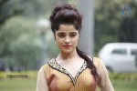 piaa-bajpai-new-stills