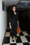 Piaa Bajpai Stills - 52 of 60