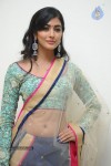 pooja-hegde-latest-photos