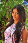 pooja-jhaveri-latest-photos