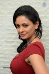 pooja-kumar-new-gallery