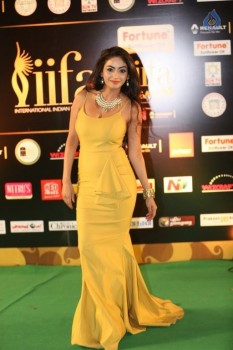 Pooja Sri at IIFA Utsavam 2016 - 34 of 42