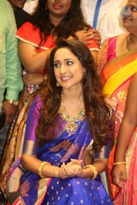 Pragya Jaiswal New Pics - 28 of 30