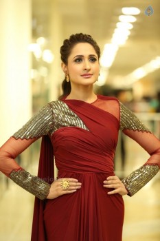 Pragya Jaiswal New Stills - 17 of 20