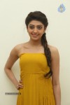praneetha-new-photos