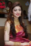 pranitha-latest-pics