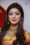 pranitha-latest-pics