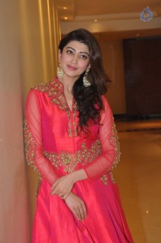 Pranitha Subhash New Photos - 33 of 58