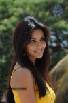 Priya Anand Photo Stills - 24 of 64