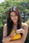 priya-anand-photo-stills