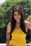 Priya Anand Photo Stills - 52 of 64