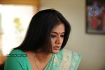 Priyamani Hot Stills In Pravarakyudu Movie  - 43 of 148