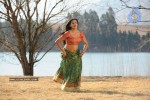 Priyamani Hot Stills In Pravarakyudu Movie  - 54 of 148