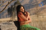 Priyamani Hot Stills In Pravarakyudu Movie  - 70 of 148