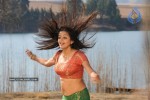 Priyamani Hot Stills In Pravarakyudu Movie  - 118 of 148