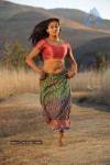 Priyamani Hot Stills In Pravarakyudu Movie  - 130 of 148
