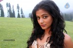 Priyamani New Photos - 30 of 55