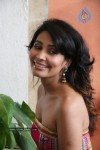 rachana-shah-photo-shoot-stills