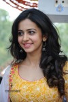 Rakul Preeth Singh Latest Photos - 36 of 66