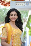 Rakul Preeth Singh Latest Photos - 60 of 66