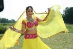 Rani Chatterjee Stills - 12 of 16