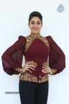 regina-cassandra-new-gallery