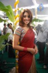 richa-gangopadhyay-new-pics