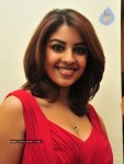 richa-gangopadhyay-photos