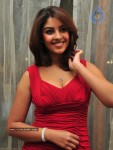 richa-gangopadhyay-photos