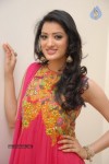 richa-panai-new-stills