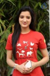 richa-panai-pics